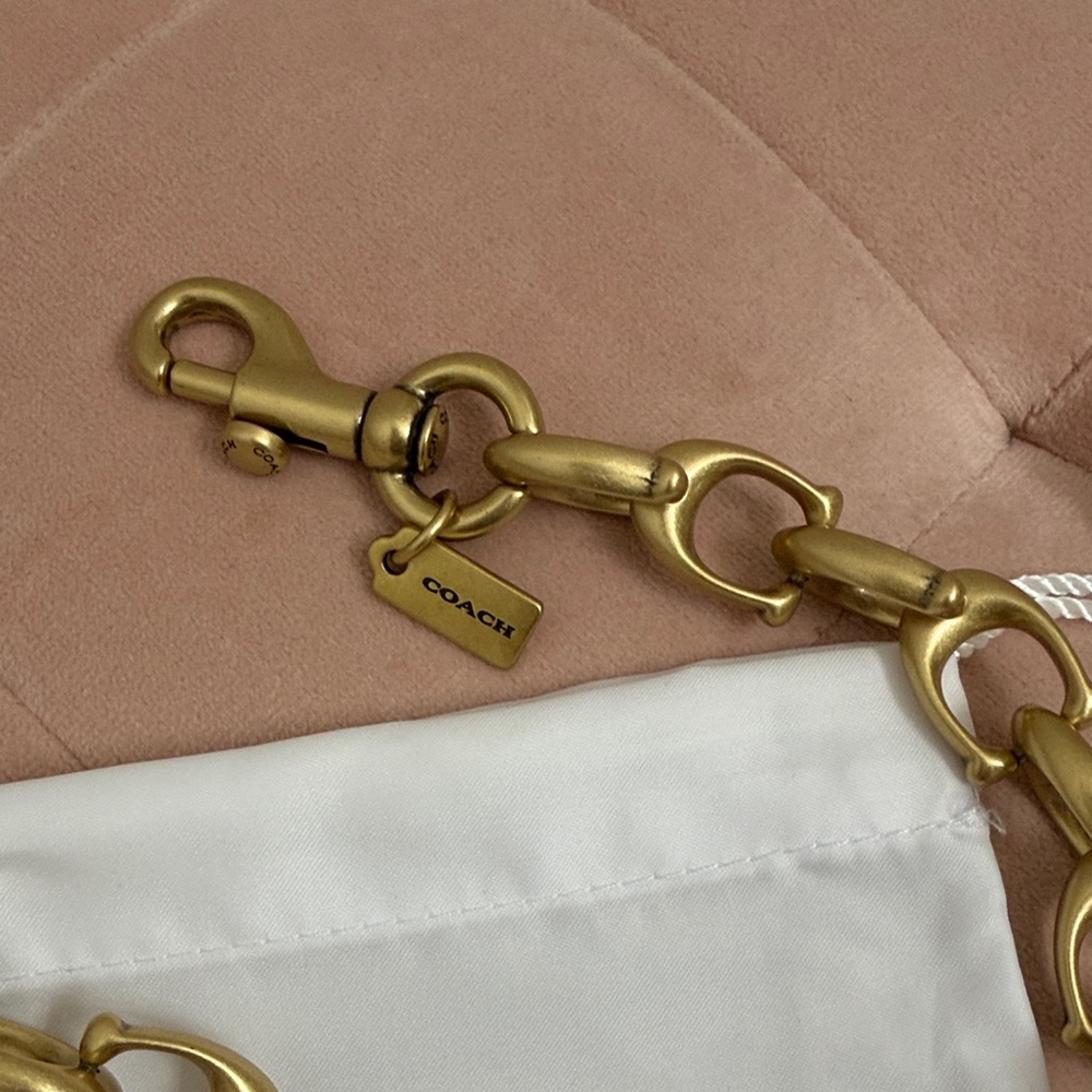 Signature Link Chain Strap - Picture 3 of 7